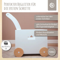 Lauflernwagen Box / Personalisierbar
