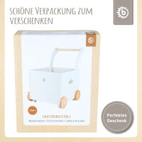 Lauflernwagen Box / Personalisierbar