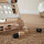 Lauflernwagen Black & White /  Personalisierbares Holzspielzeug mit Namen