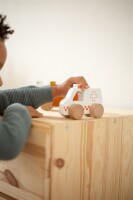 Tryco - Krankenwagen /Personalisierbares Holzspielzeug mit Namen