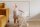 Tryco - Puppenwagen aus Holz